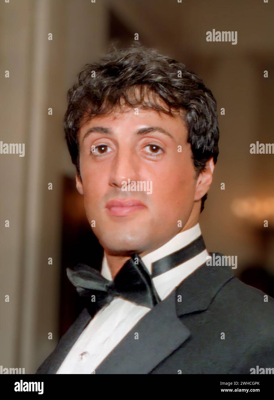 Foto de Sylvester Stallone